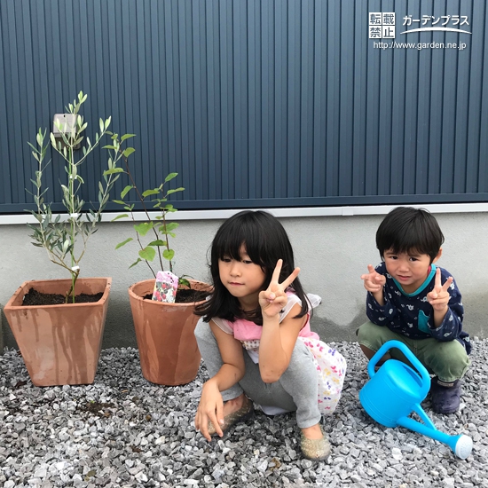 宮崎県宮崎市オリーブとジューンベリーの植樹風景