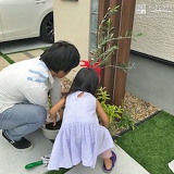 兵庫県神戸市西区ジューンベリーとオリーブの植樹風景