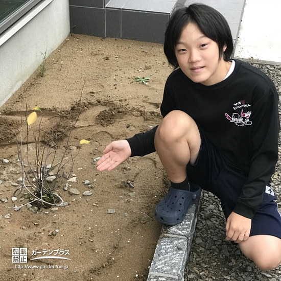 石川県能美市セイヨウニンジンボクとジューンベリーの植樹風景