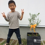 兵庫県神戸市オリーブの植樹風景