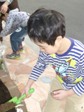 東京都あきる野市オリーブの植樹風景