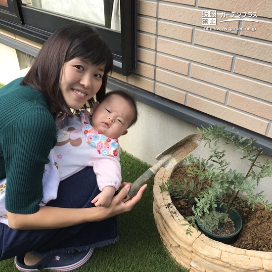 三重県四日市市ミモザの植樹風景