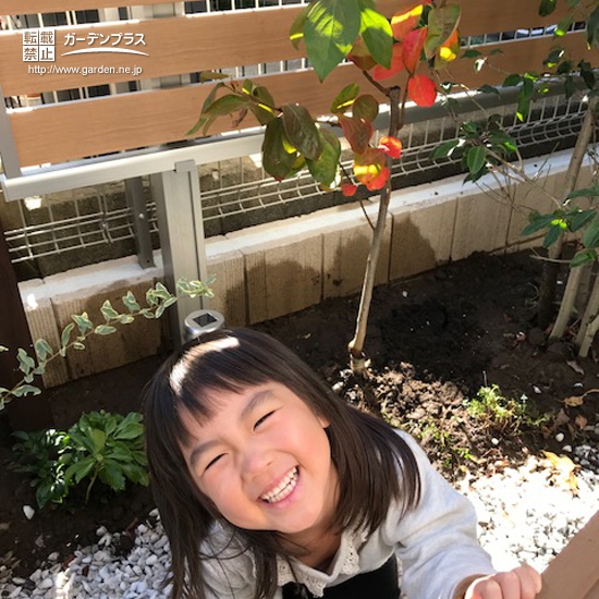 埼玉県草加市カキともみじ（カエデ）の植樹風景