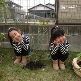 千葉県大網白里市オリーブとジューンベリーの植樹風景