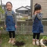 千葉県大網白里市オリーブとジューンベリーの植樹風景