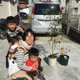 東京都八王子市ブルーベリーとジューンベリーとキンモクセイの植樹風景