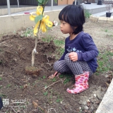 愛知県名古屋市中川区ブルーベリーとレモンの植樹風景