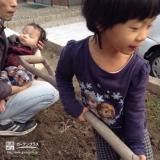 愛知県名古屋市中川区ブルーベリーとレモンの植樹風景