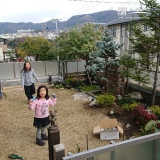 兵庫県神戸市東灘区レモンと月桂樹（ローリエ）ともみじ（カエデ）の植樹風景