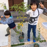 福岡県福岡市東区オリーブとキンモクセイの植樹風景