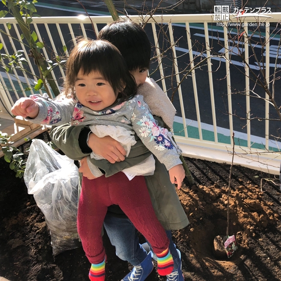 神奈川県横浜市青葉区ジューンベリーとキンカンとライラックの植樹風景