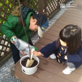 東京都八王子市ジューンベリーとオリーブの植樹風景