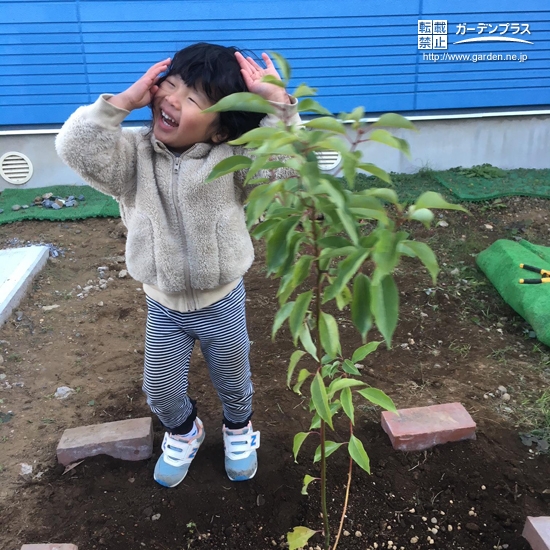 千葉県千葉市クスノキの植樹風景