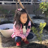 熊本県熊本市南区ミモザの植樹風景