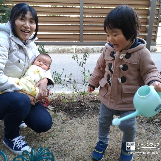 大阪府堺市南区ライラックとオリーブの植樹風景