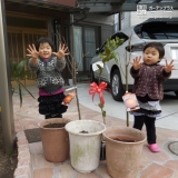 滋賀県大津市カキと温州ミカンの植樹風景