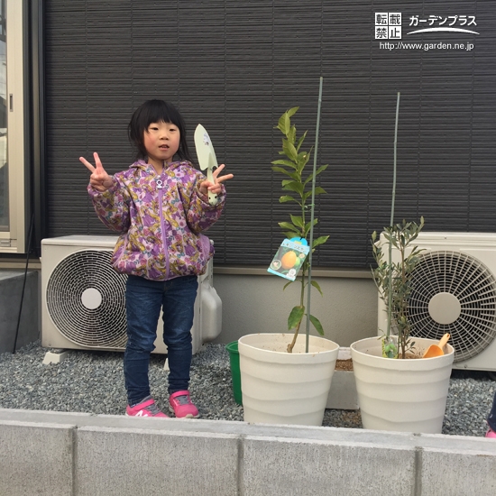 兵庫県たつの市レモンとオリーブの植樹風景