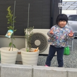 兵庫県たつの市レモンとオリーブの植樹風景