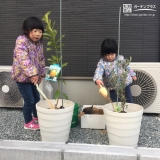 兵庫県たつの市レモンとオリーブの植樹風景