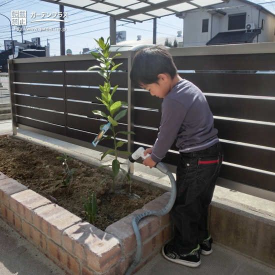 愛知県北名古屋市レモンの植樹風景