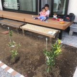 東京都福生市キンモクセイとキンカンの植樹風景