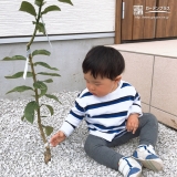 埼玉県新座市レモンの植樹風景