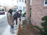 福岡県福岡市東区アルプス乙女の植樹風景