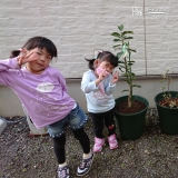 静岡県島田市レモンとブルーベリーの植樹風景