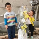 兵庫県西宮市オリーブとジューンベリーの植樹風景