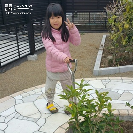 愛知県江南市四季咲きモクセイとライラックの植樹風景