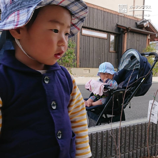 岡山県岡山市北区ジューンベリーとオリーブの植樹風景