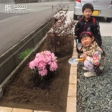 秋田県秋田市西洋シャクナゲと紅葉トキワマンサクの植樹風景