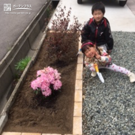 秋田県秋田市西洋シャクナゲと紅葉トキワマンサクの植樹風景