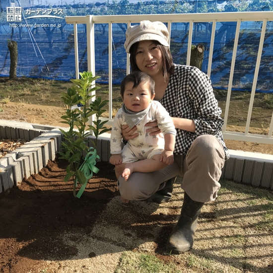 千葉県佐倉市キンカンの植樹風景