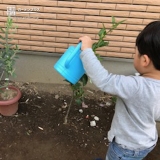 埼玉県久喜市オリーブの植樹風景