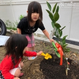 岐阜県各務原市ビワと温州ミカンの植樹風景