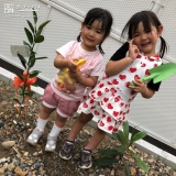 岐阜県各務原市ビワと温州ミカンの植樹風景