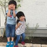 神奈川県相模原市緑区オリーブの植樹風景