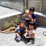 兵庫県宍粟市キンモクセイと温州ミカンとブルーベリーの植樹風景