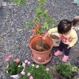 お子さまの植樹風景