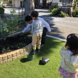 ご家族でミモザともみじの植樹の様子②