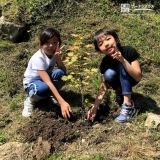 もみじの植樹の様子