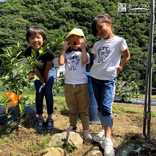 温州ミカンともみじの植樹後の記念写真