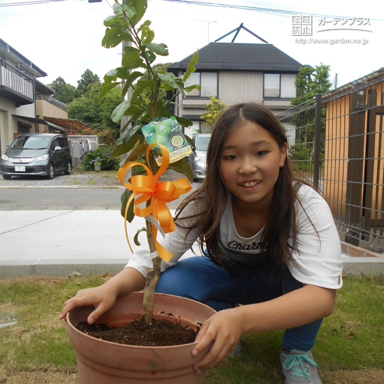 レモンの植樹をされたあとの様子