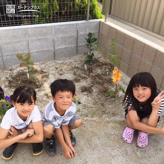 植樹後のお子さまの様子