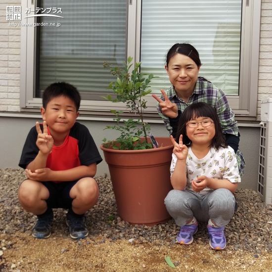 ブルーベリー植樹後の家族写真