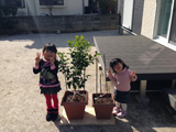 福岡県福岡市南区アルプス乙女とレモンの植樹風景