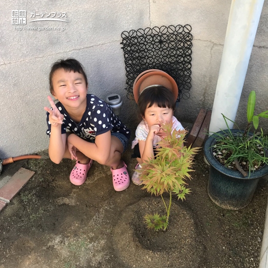 もみじ植樹後の様子②