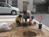 岡山県岡山市中区セイヨウニンジンボクとヤマブキの植樹風景