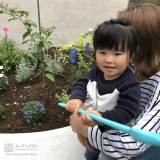 レモン植樹後の様子